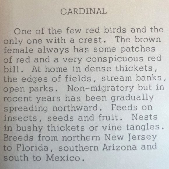 Vtg GREETING CARDS "Winged Beauties" Watercolor Birds Embossed Full Set Ephemera - Picture 14 of 15